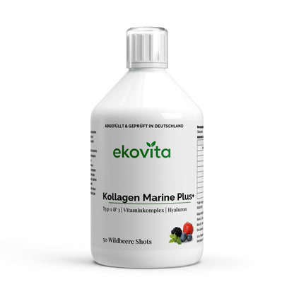 Kollagen Marine Plus+ Wildbeere 500ml von ChanceToBrand zur Förderung der Hautelastizität.