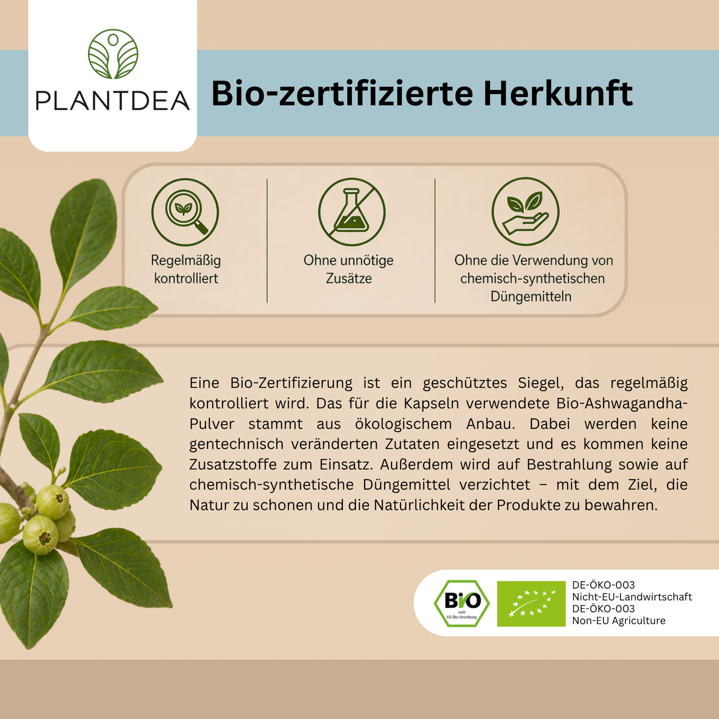 Bio Ashwagandha Kapseln