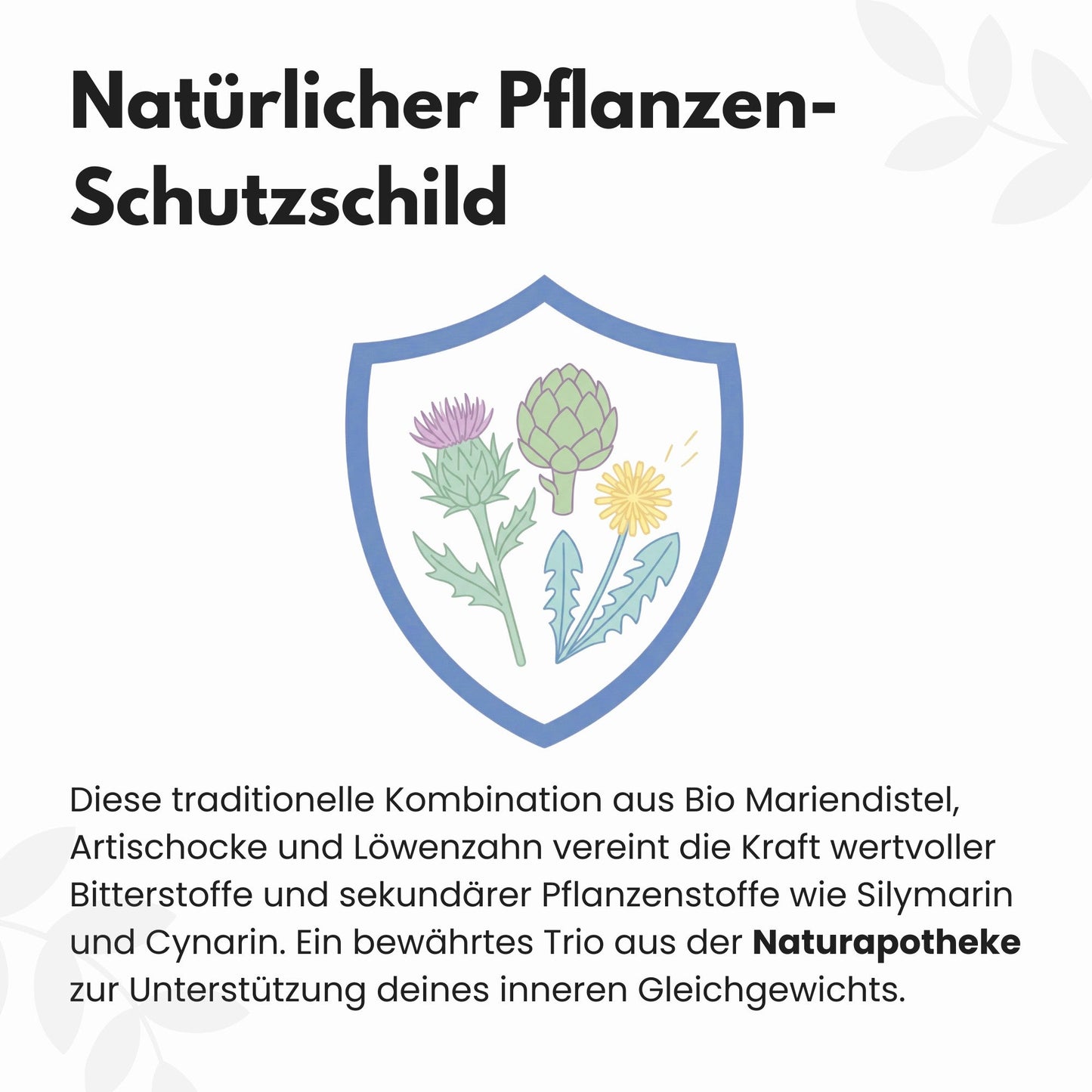 Bio Mariendistel Leber Komplex Kapseln