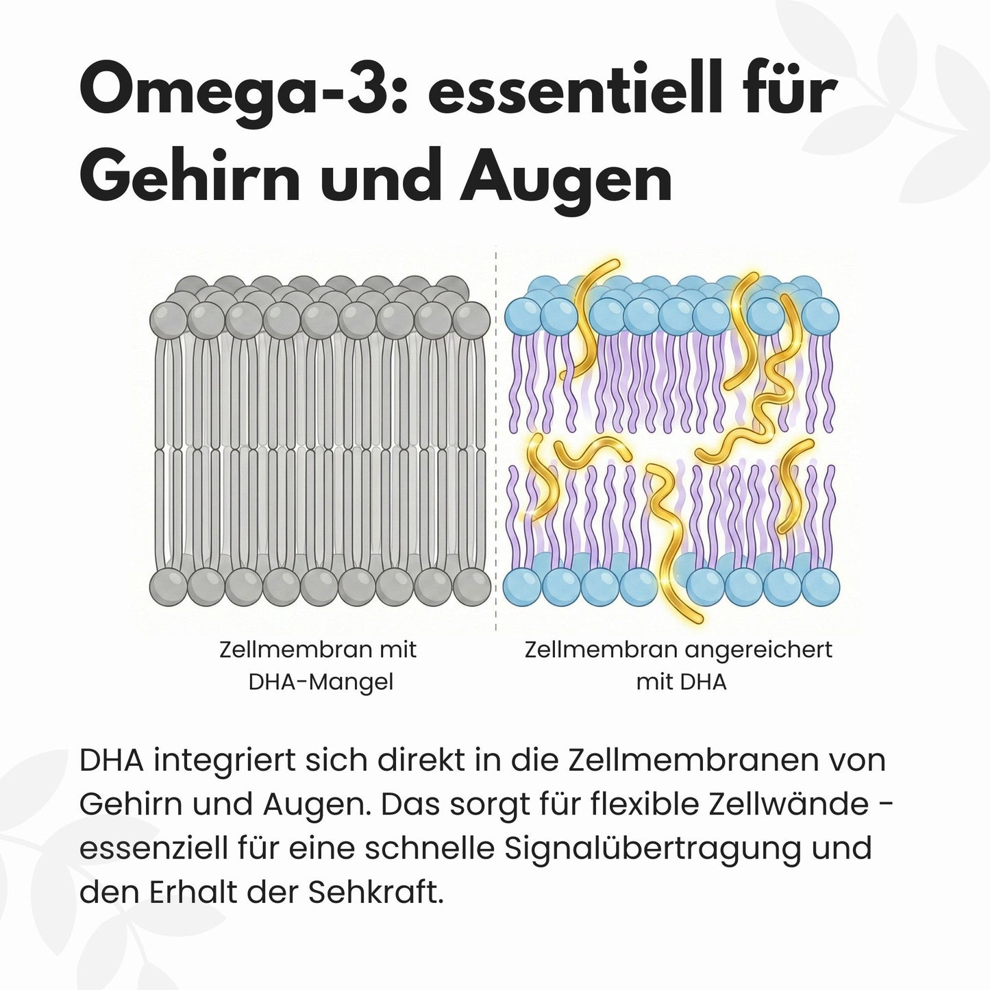 Omega 3 Kapseln aus Algenöl - Vegan