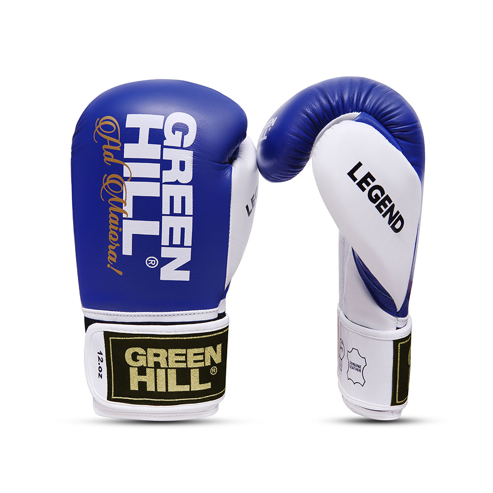Boxhandschuhe LEGEND - Leder -  Ohne Gelenkschutz