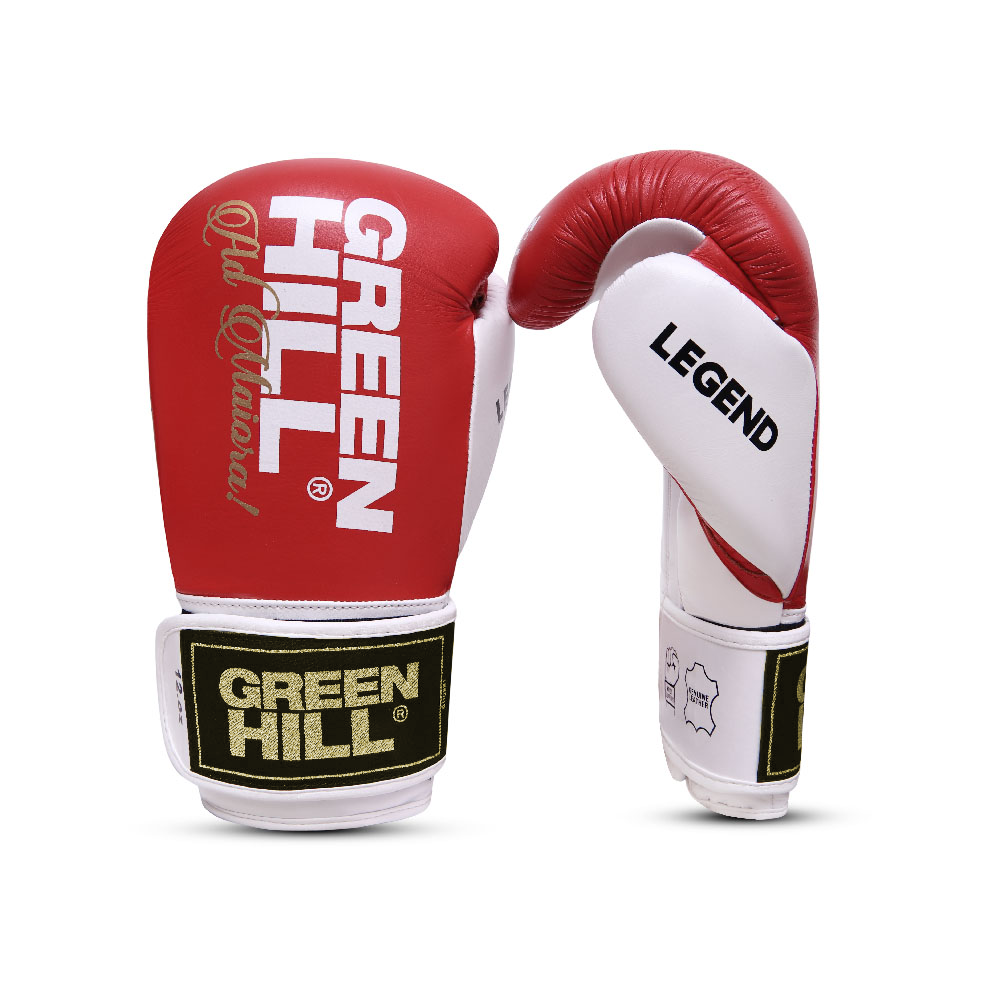 Boxhandschuhe LEGEND - Leder -  Ohne Gelenkschutz