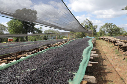 Kaffeebohnenschalen der hochwertigen ekovita Arabica Bohnen aus Äthiopien für besten Genuss