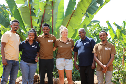 Zubereitungsprozess: Filterkaffee aus ekovita Ethiopia Heirloom in traditioneller Kaffeekanne