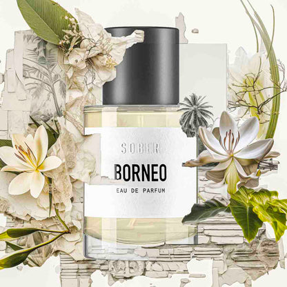 Nahaufnahme der Duftnote von Borneo Eau de Parfum, zeigt frische und exotische Aromen.