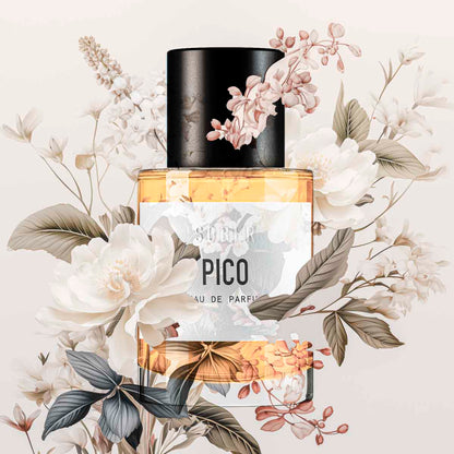 Elegante Verpackung des PICO Eau de Parfum von sober, ideal für Geschenke.