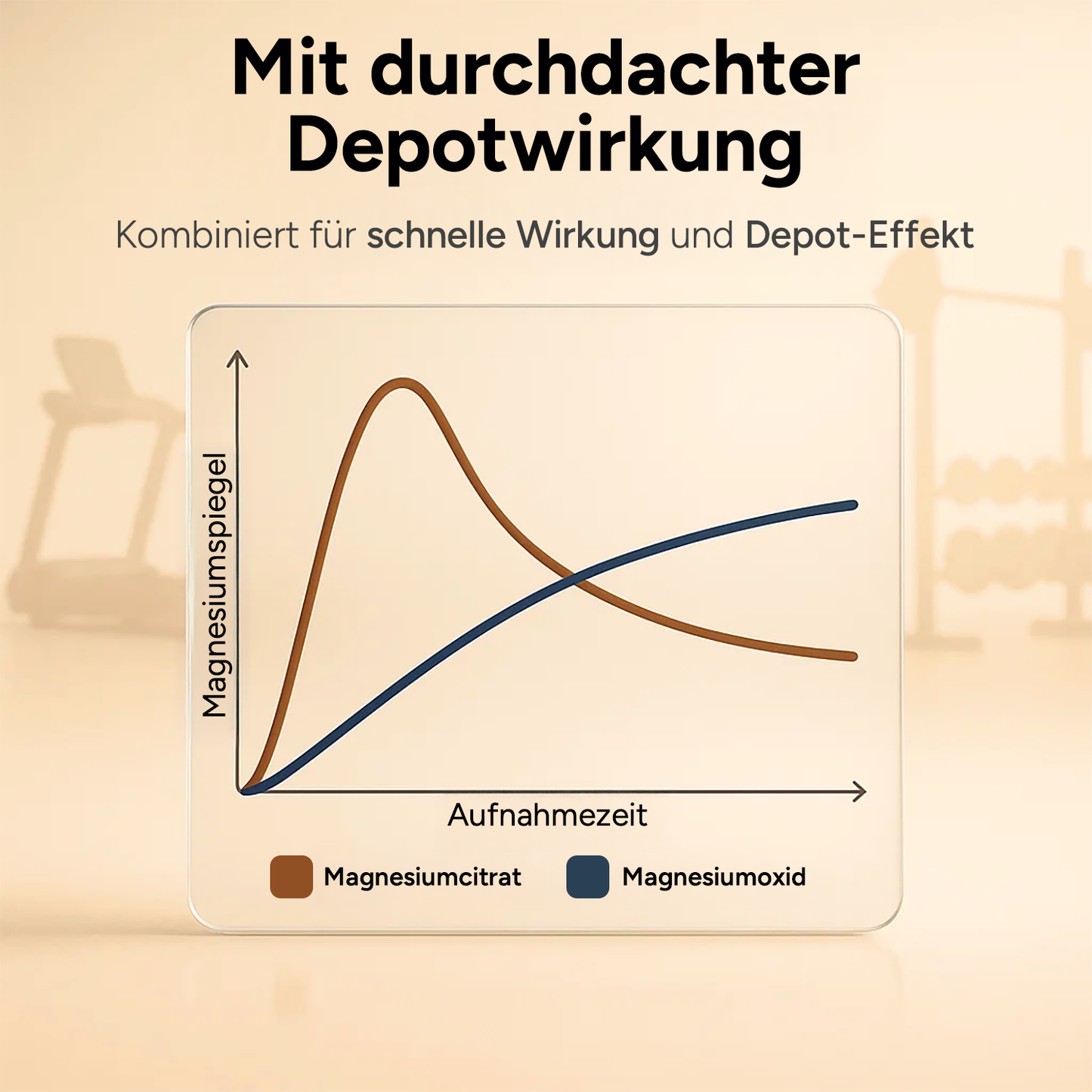Kapseln des Magnesium Komplex bereit zur Einnahme, um Muskelfunktionen optimal zu unterstützen.