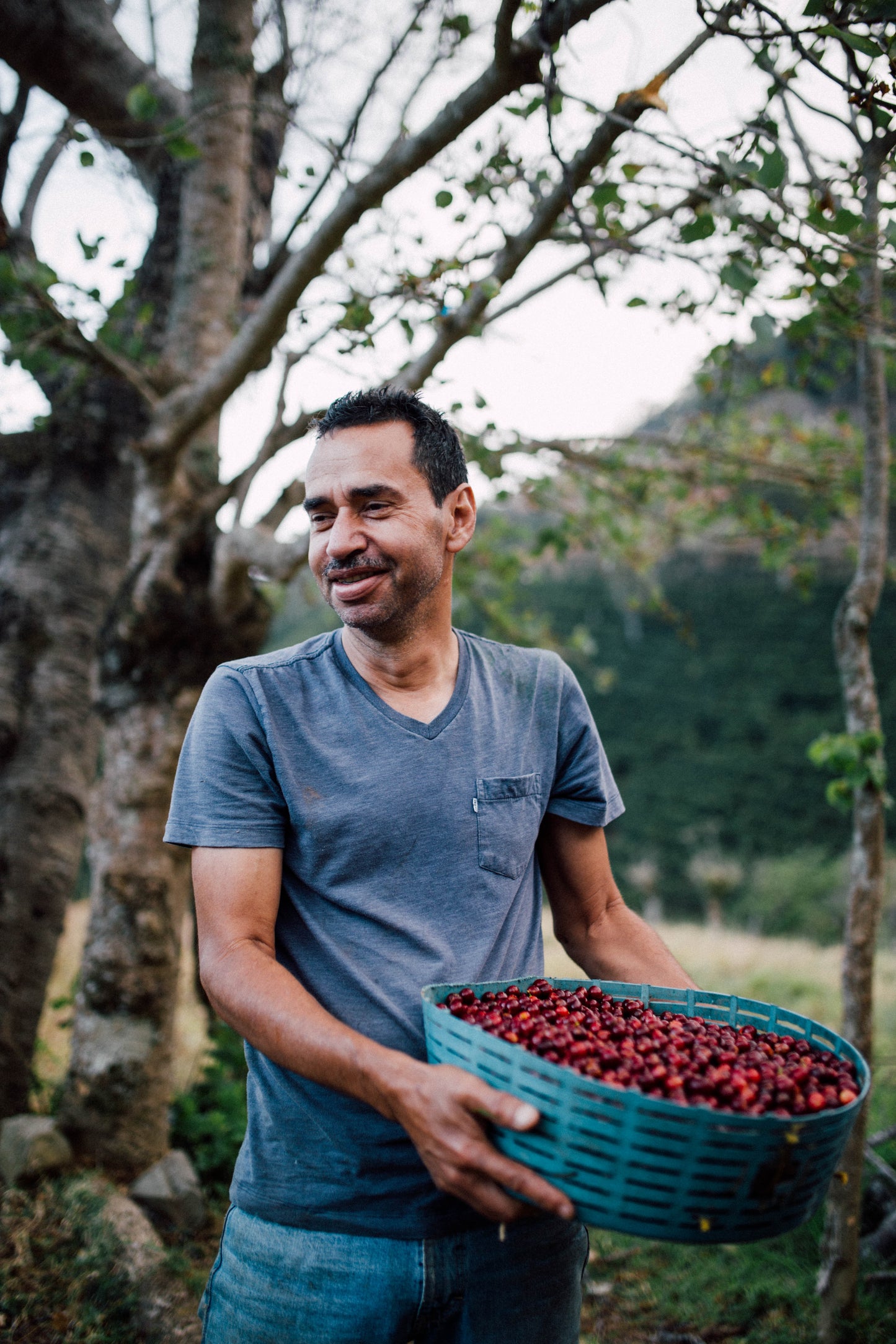 Roble Negro Filterkaffee, frisch gebrühter Kaffee holt sich seine Aromen aus 100% Arabica Bohnen.