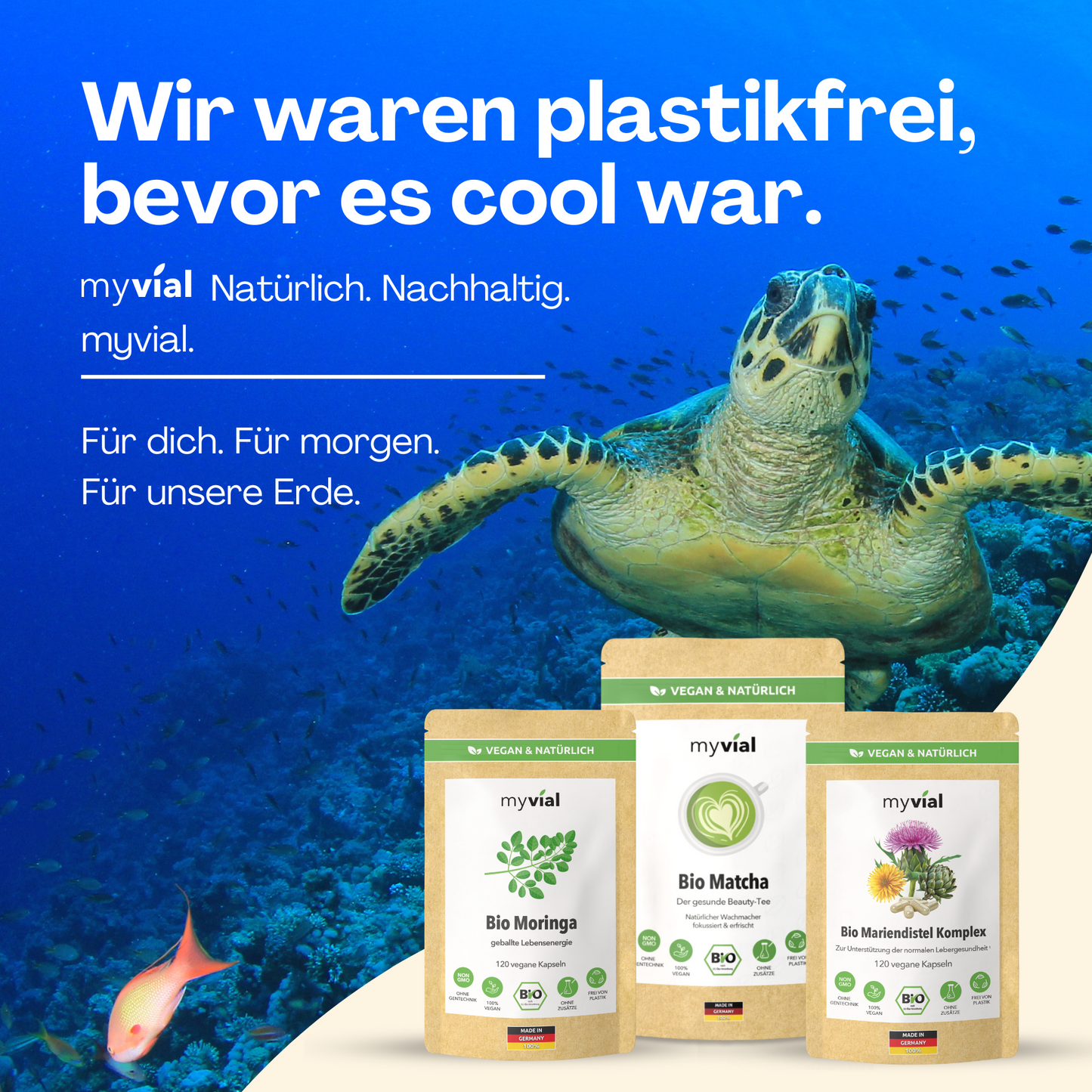 Bio Chaga Kapseln