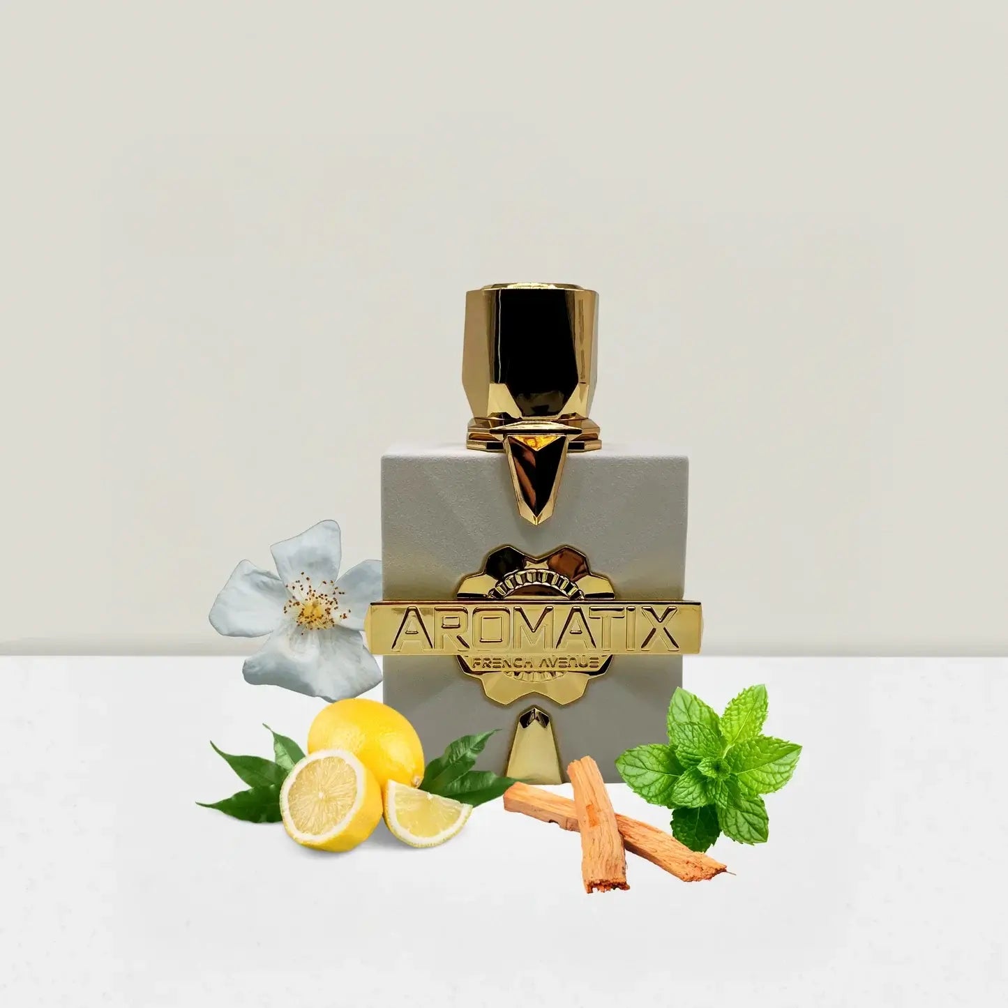 Anwendung des Platine Blanc Duftes mit einem stilvollen Spritzer auf die Handgelenke, ideal für jeden Tag.