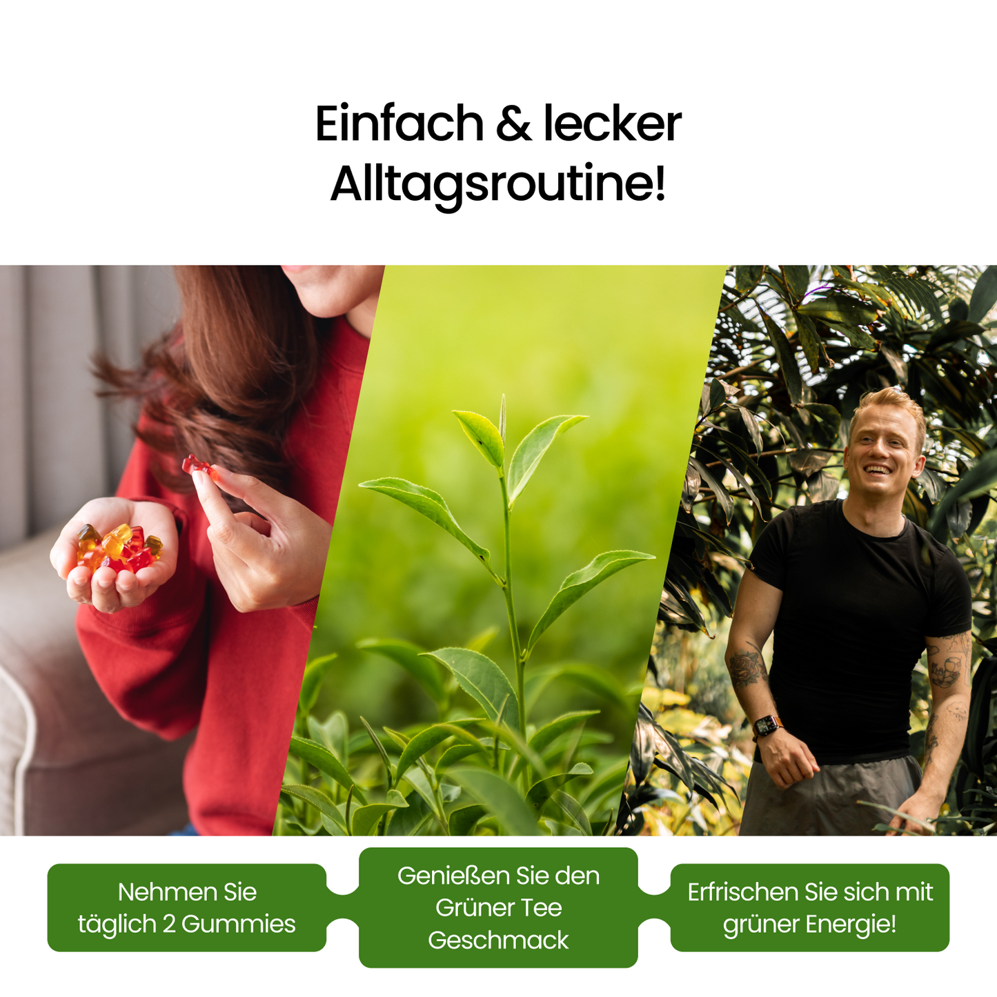 Grüner Tee Extrakt Gummibärchen – botanischer Komplex