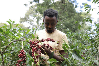Glücklicher Kaffeetrinker genießt eine Tasse ekovita Premium Ethiopia Heirloom Filterkaffee