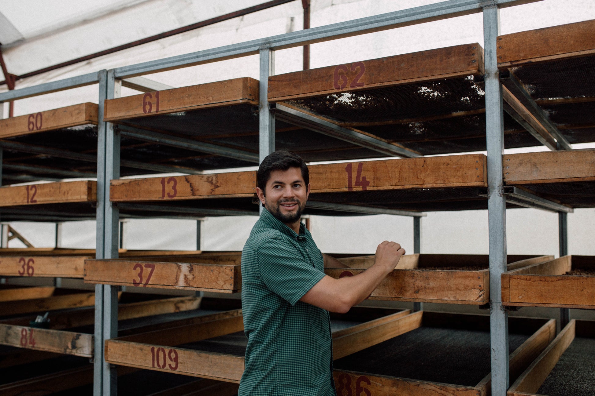 Kaffeebohnen im Detail, Centroamericano Anaerobic Natural von Paso Paso für einzigartigen Geschmack.