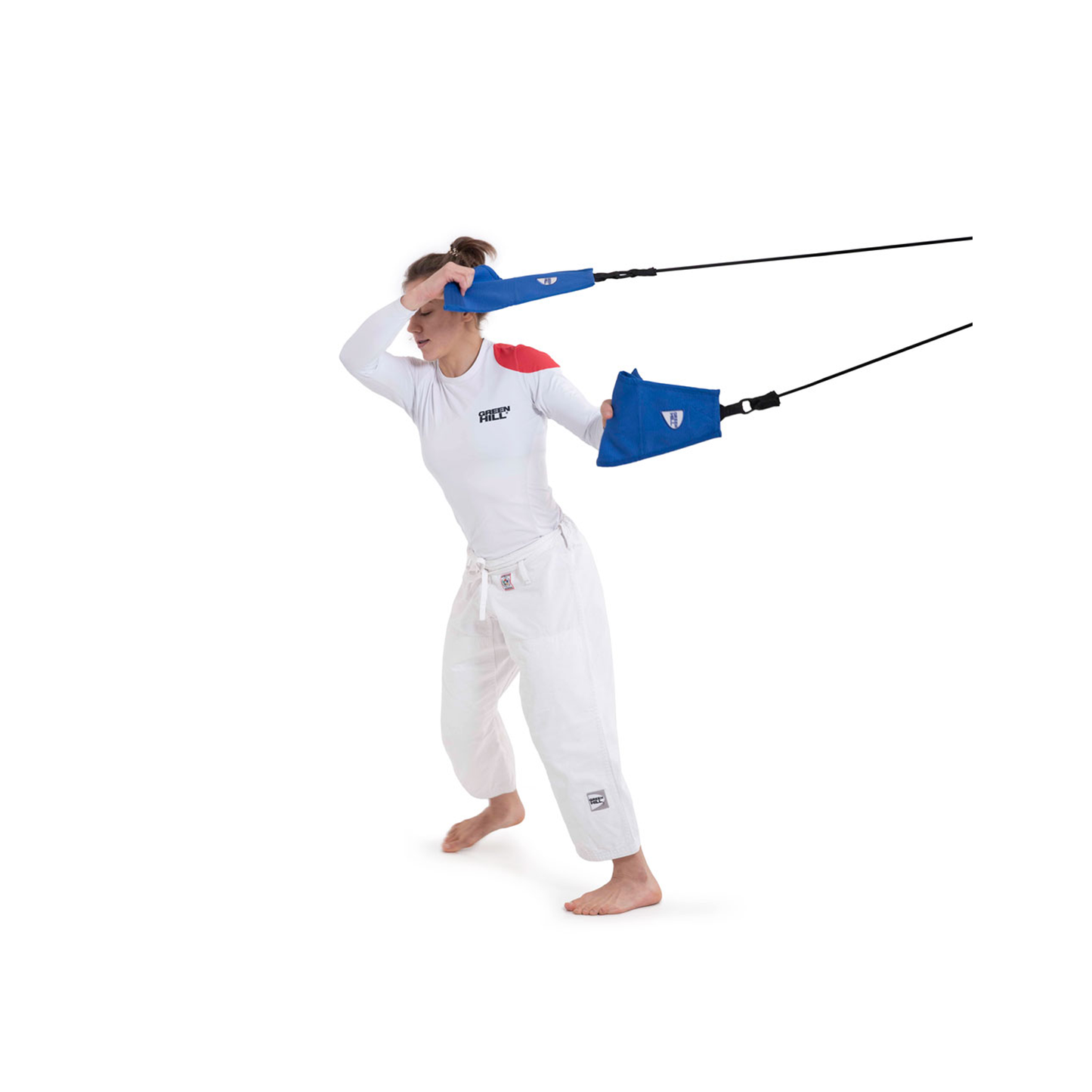 Judo Grifftrainer