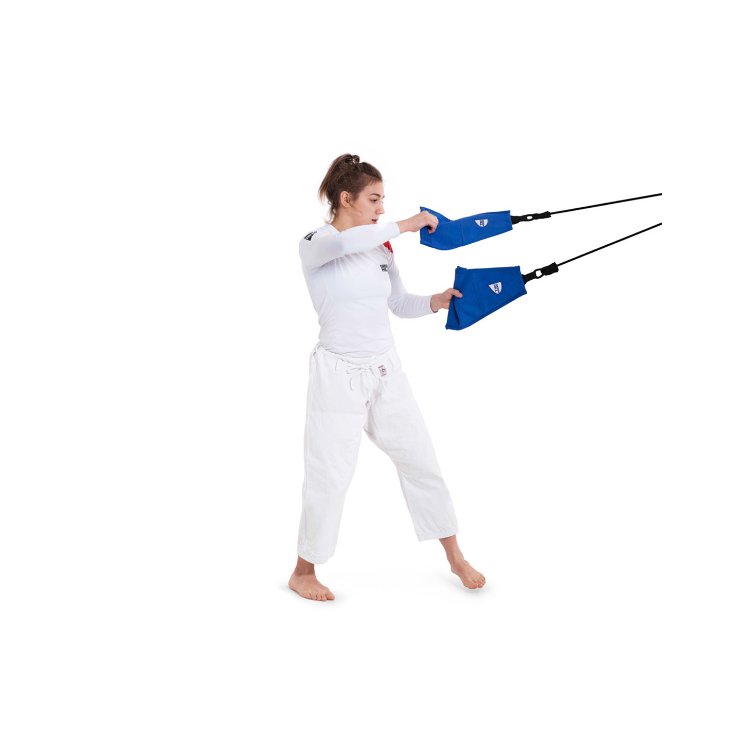 Judo Grifftrainer
