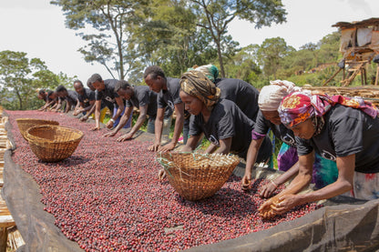 EA Decaf Kaffee: goldenes Etikett auf umweltfreundlicher Verpackung, ideal für genussvolle Kaffeepausen.