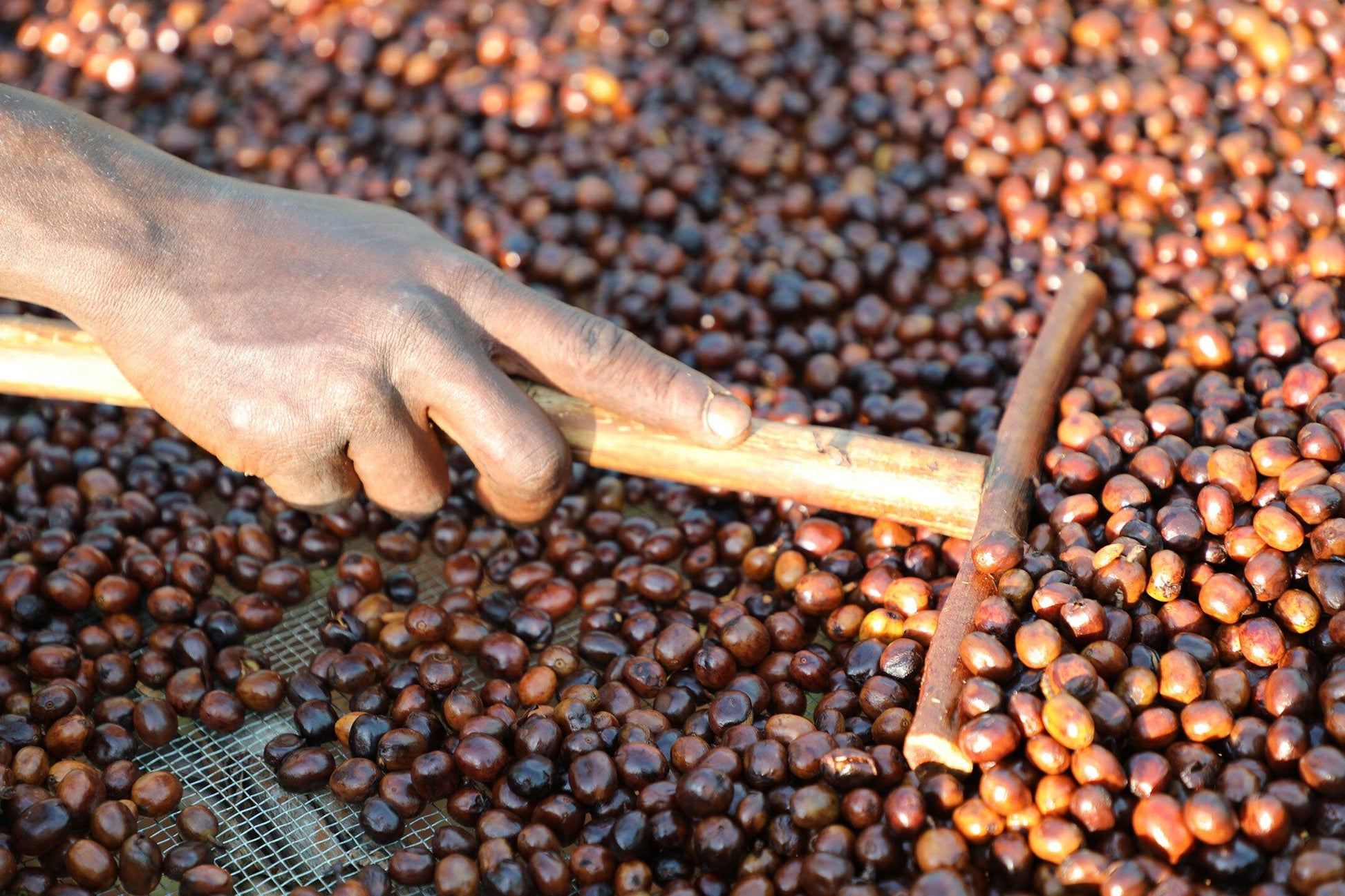 Hintergrund mit Kaffeezubehör und ekovita Kaffee-Packung für die perfekte Zubereitung
