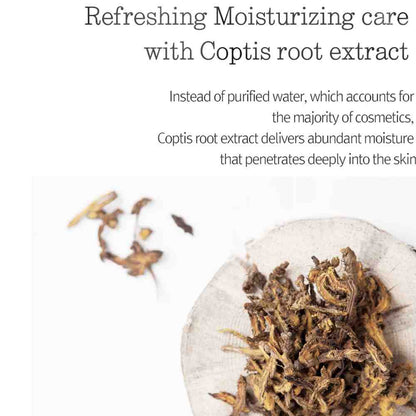 Detailansicht der feuchtigkeitsspendenden Pyunkang Yul Feuchtigkeitscreme in ihrer stilvollen Verpackung.