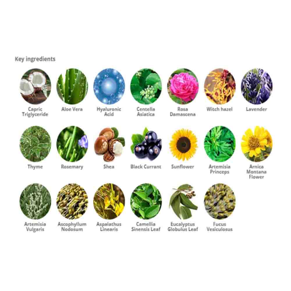 Anwendung der Holika Holika Aloe Lotion auf der Haut, zeigt beruhigende Wirkung und intensive Feuchtigkeit.