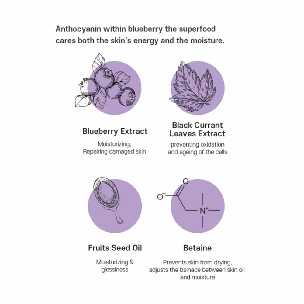 Verpackung der Frudia Blaubeeren-Feuchtigkeitscreme, geeignet für die Reise.