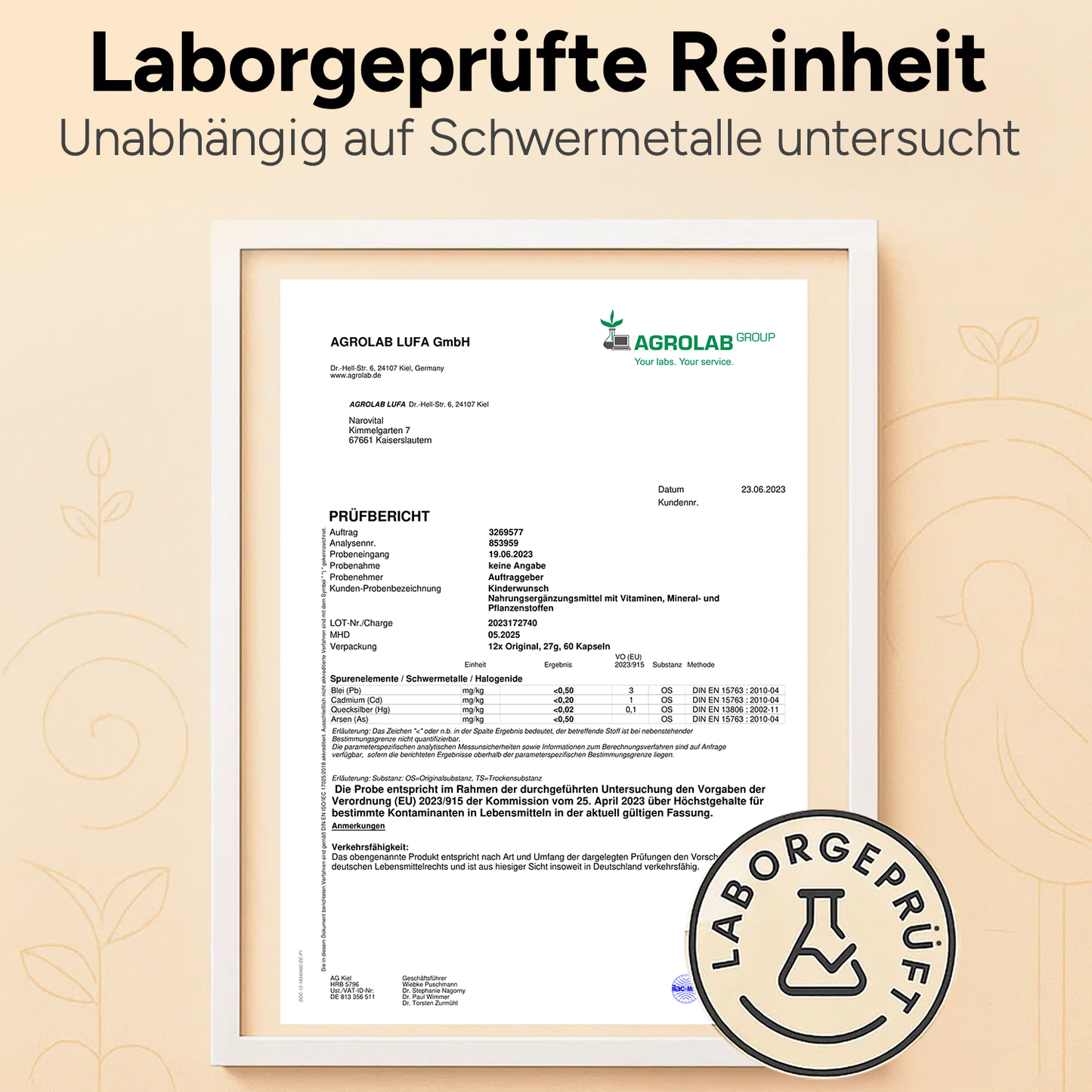 Nahaufnahme der Inhaltsstoffe auf der Rückseite der Verpackung der pränatalen Vitamine.