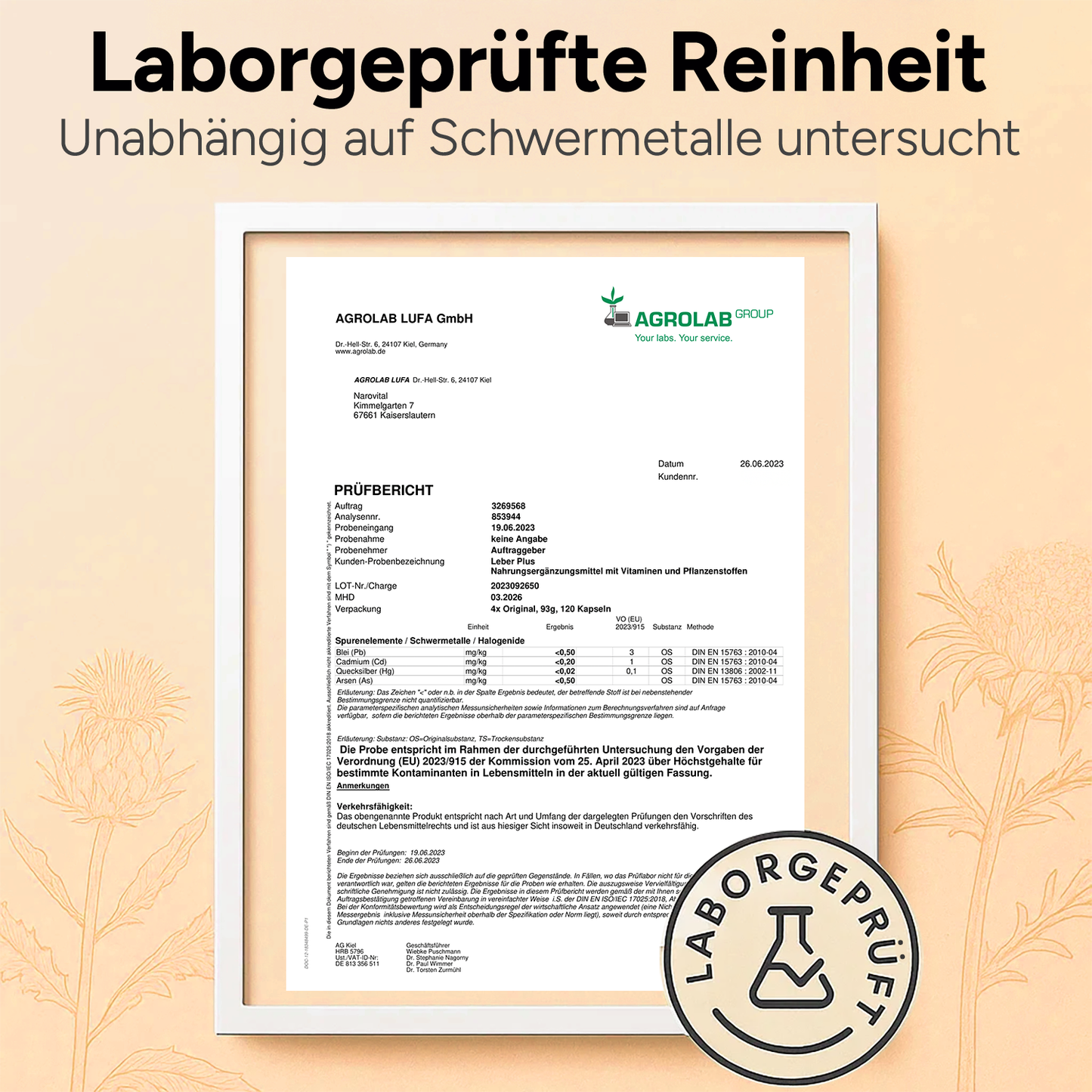 Inhaltsstoffe von Leber Plus: hochdosierter Mariendistel Komplex in leichter Kapsel-Form.