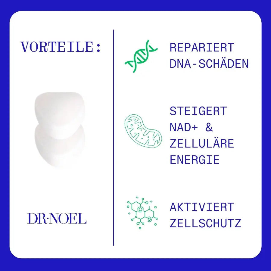 Kombination der Produkte aus dem Longevity Bundle auf einem eleganten Hintergrund zur Betonung der Gesundheitsvorteile.