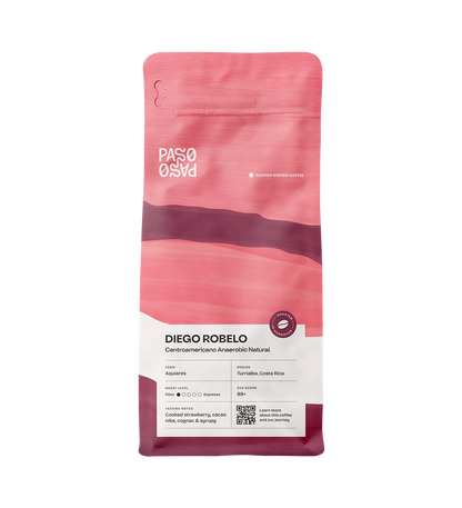 Centroamericano Anaerobic Natural – Premium Kaffee aus Costa Rica, nachhaltig produziert von ekovita.