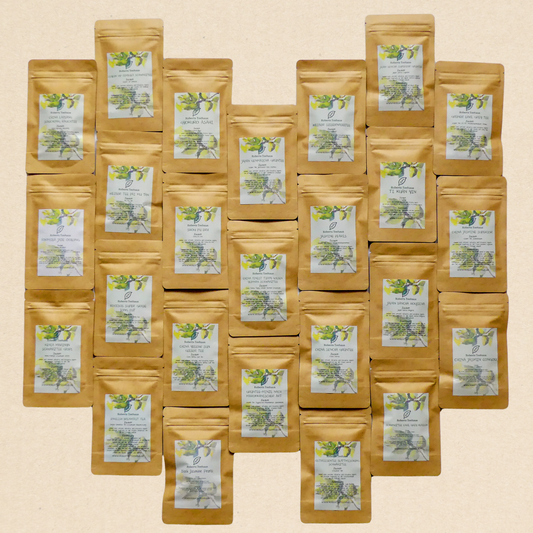 Ekovita Premium Tee Probierpaket mit 25 exklusiven Teesorten von Roberts Teehaus, ideal zum Teesorten kaufen.