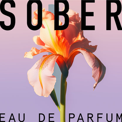 Verpackung des Parfum Discovery Sets von sober, ansprechend und nachhaltig gestaltet.