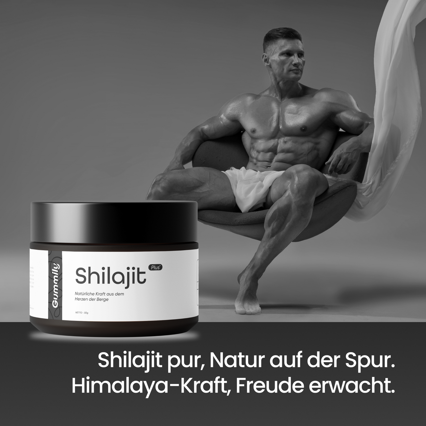 Himalaya Shilajit Paste 1000 mg – reines Resin