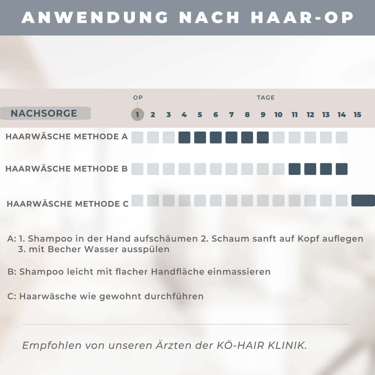 Sanfte Inhaltsstoffe im Sensitive Calm Shampoo für empfindliche Kopfhaut von Kö-Hair.