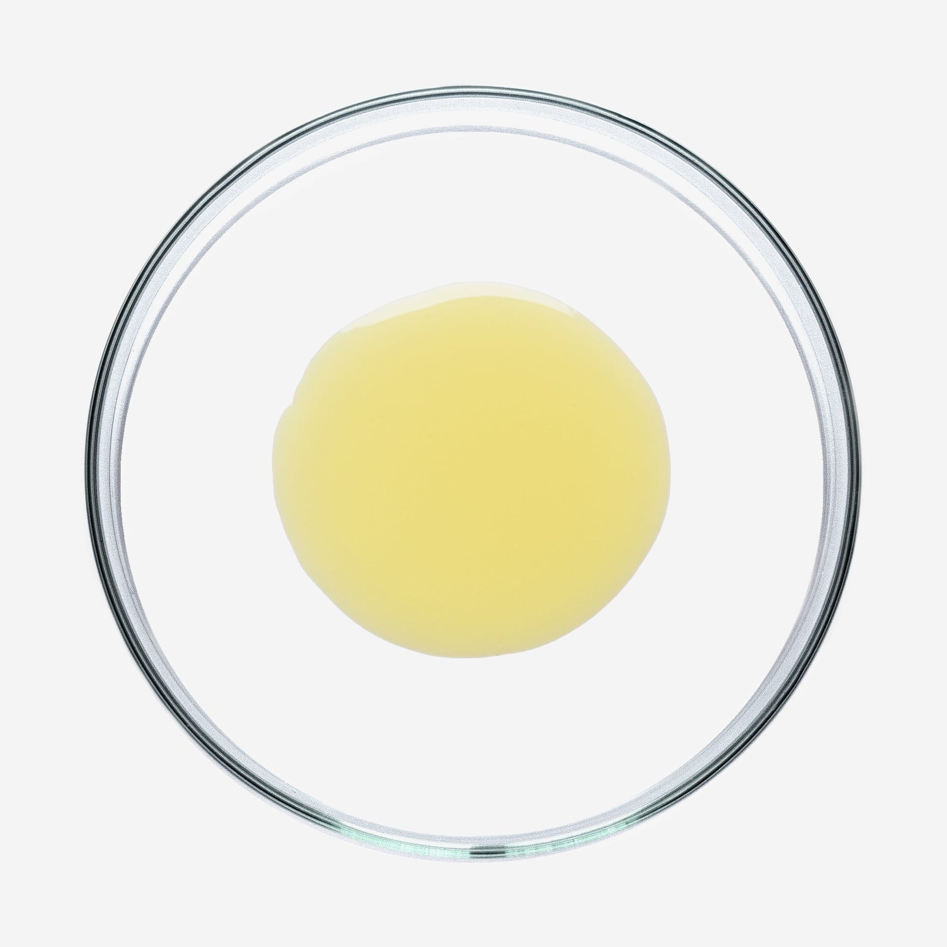 Detailaufnahme des Sun Shield Drops mit Tropfer, ideal für präzise Anwendung auf der Haut.