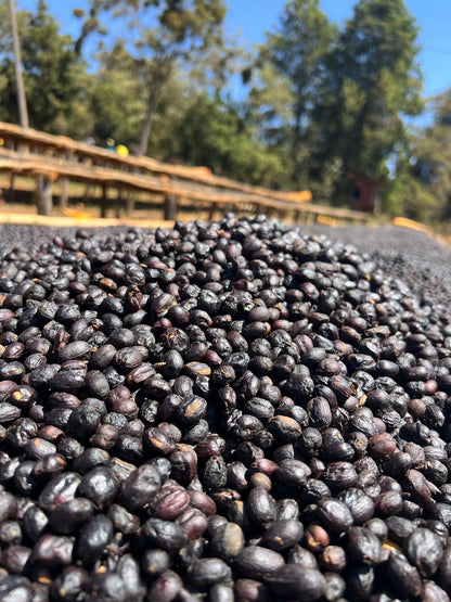 Eine Tasse dampfender EA Decaf Kaffee, der genussvoll ohne Koffein getrunken werden kann.
