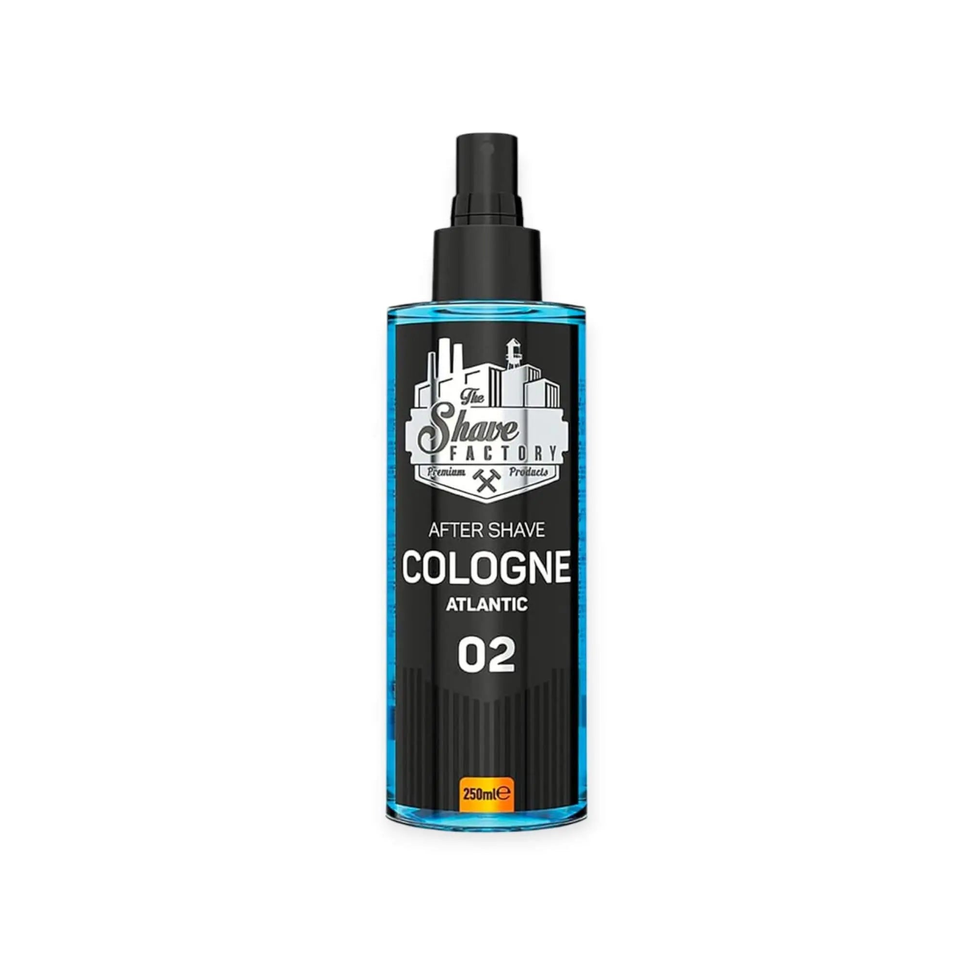 After Shave Cologne 02 Atlantic von ekovita, Premium Pflege für Männer in eleganter Flasche.