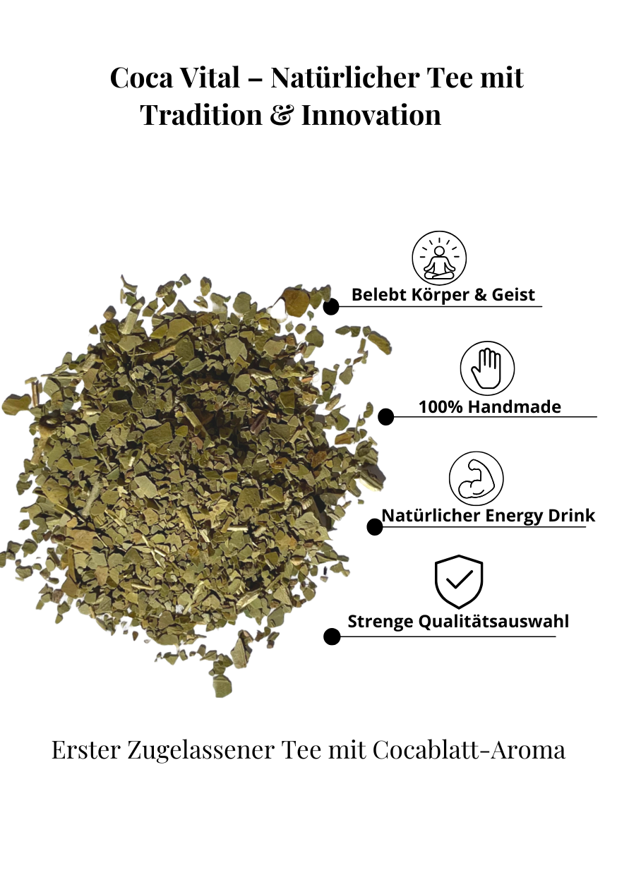 Umweltfreundliche Verpackung des Mate Tees von ekovita, nachhaltig und attraktiv.