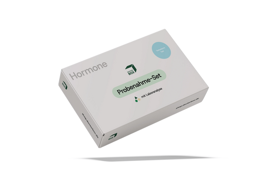 Testosteron Check