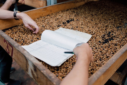 Zubereitung des Centroamericano Anaerobic Kaffees im Vollautomaten, Ihr Premium Kaffee Erlebnis.