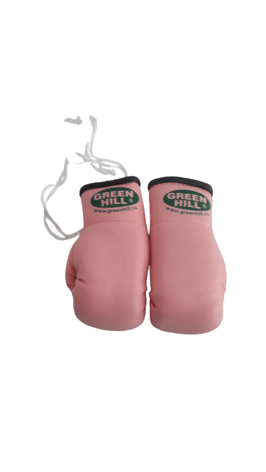 Mini Boxhandschuhe