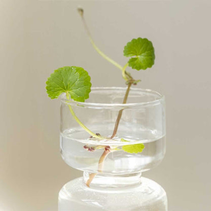 Die beruhigende Gesichtsmaske wird auf der Haut verteilt, um Feuchtigkeit zu spenden.