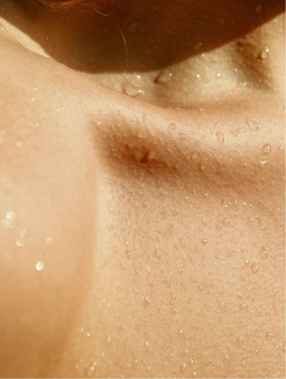 Gloss Shampoo in den Händen angewendet – perfekte Pflege für gesundes, glänzendes Haar.
