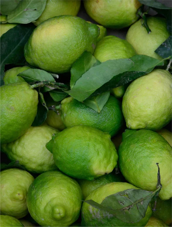 Anwendung des Kojisäure Peelings zur natürlichen Hautregeneration für ein glattes Hautbild.