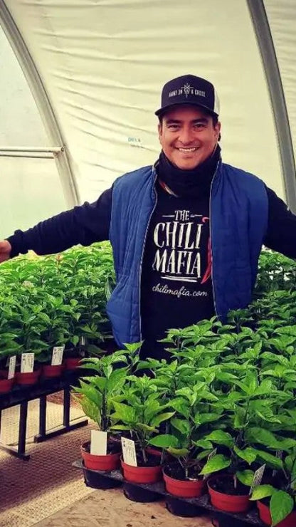 Verpackung der Chili Mafia Caribbean Dancer, perfekt für Liebhaber von pikanten Soßen und Chililiebhabern.