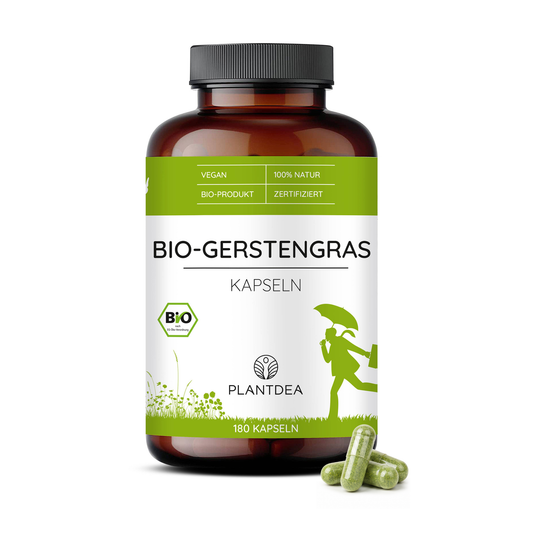 Bio Gerstengras Kapseln
