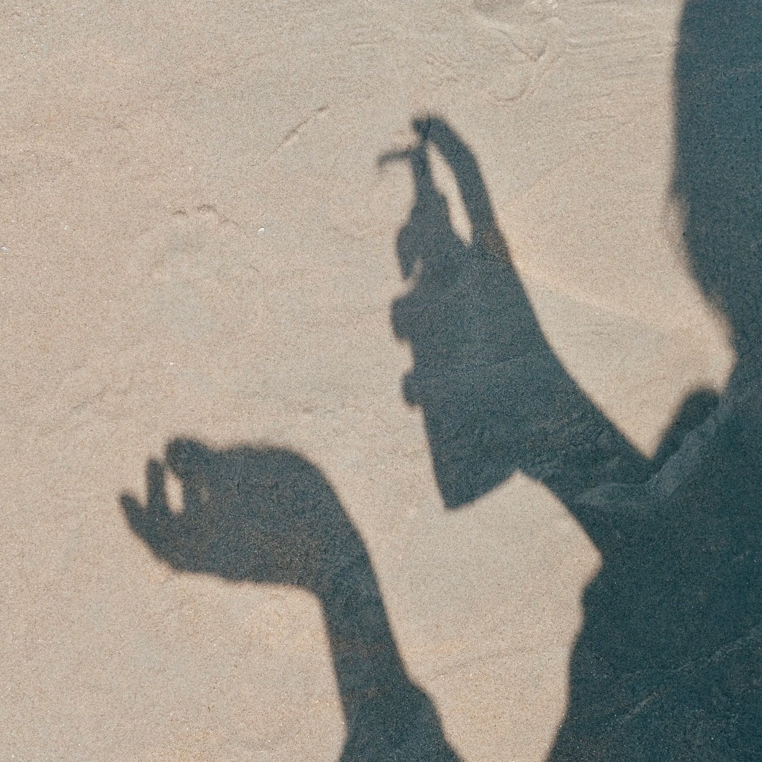 Anwendung des Waschgels mit Aloe Vera für sanfte Hautreinigung und Pflege.