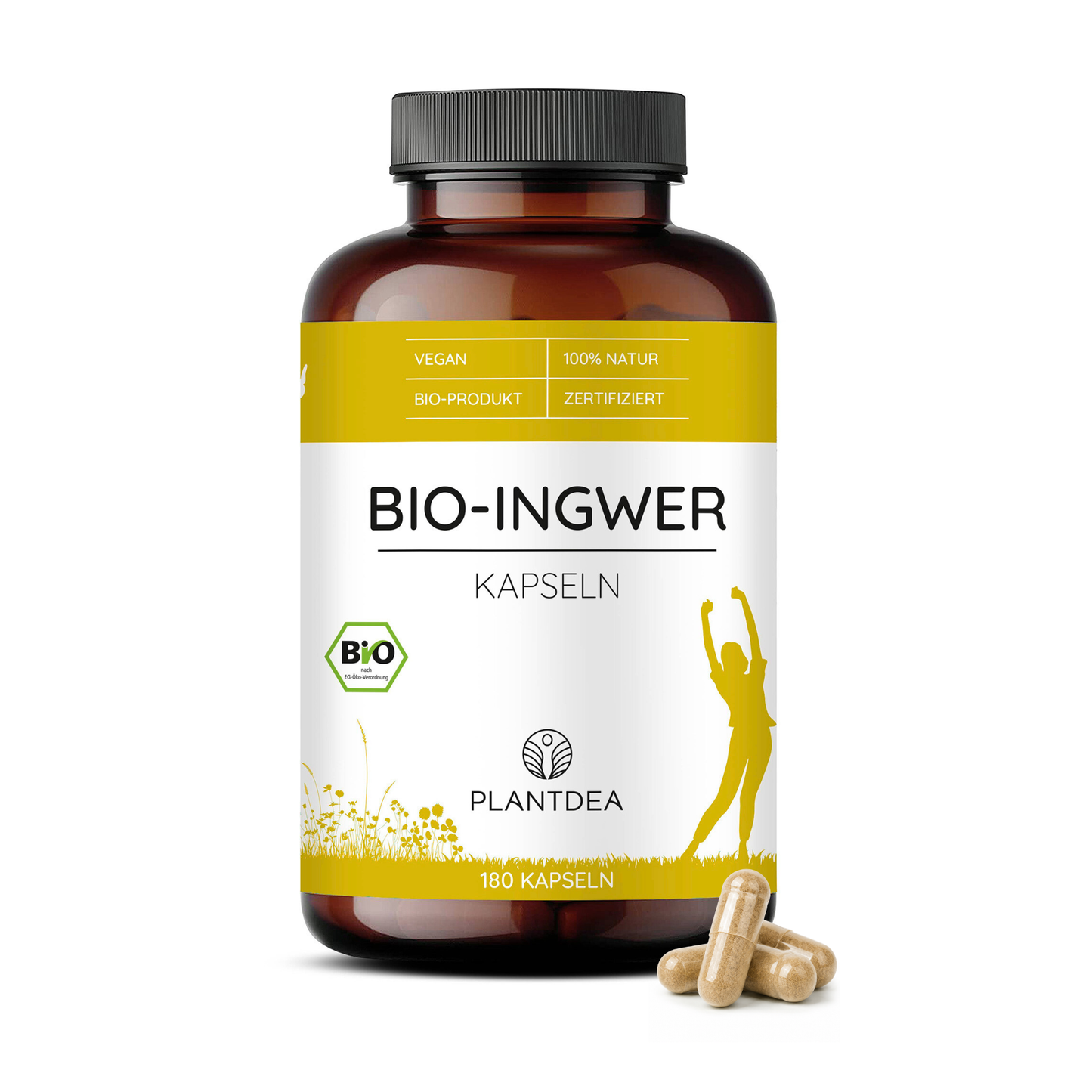 Bio Ingwer Kapseln