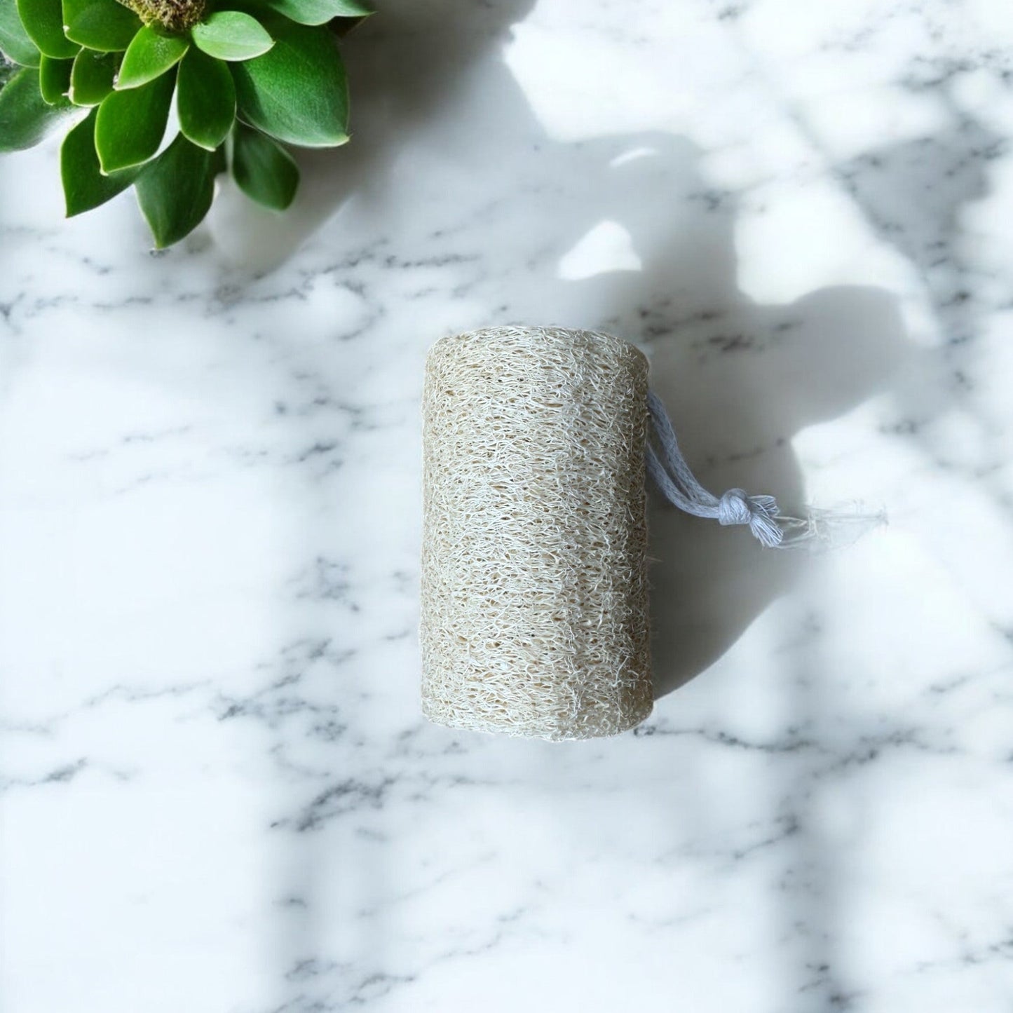Verpackung des umweltfreundlichen Luffa-Schwamms von SoapGuys – nachhaltig und biologisch abbaubar.