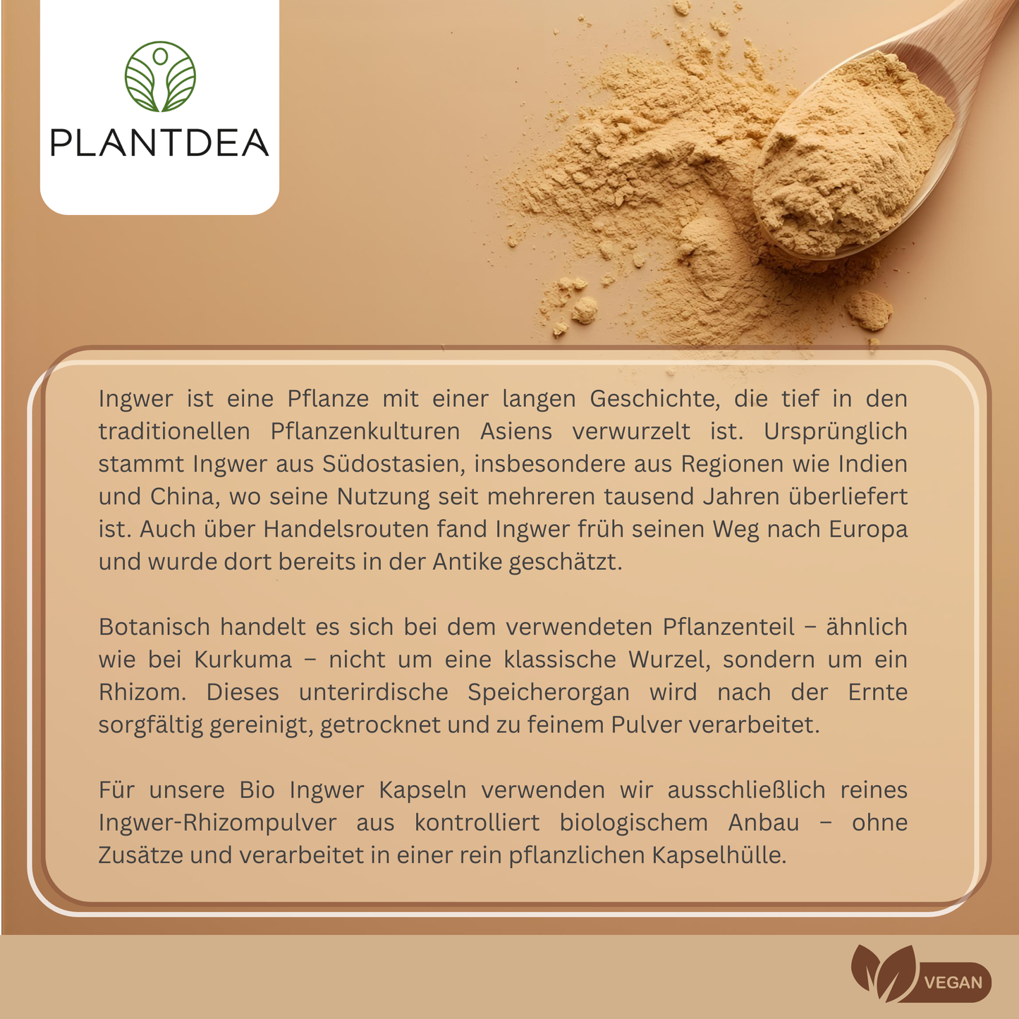 Bio Ingwer Kapseln