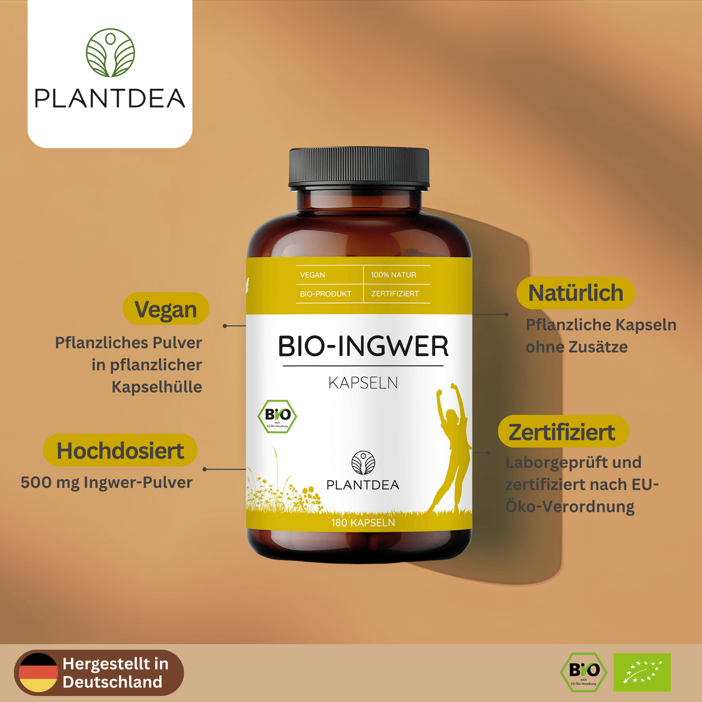 Bio Ingwer Kapseln