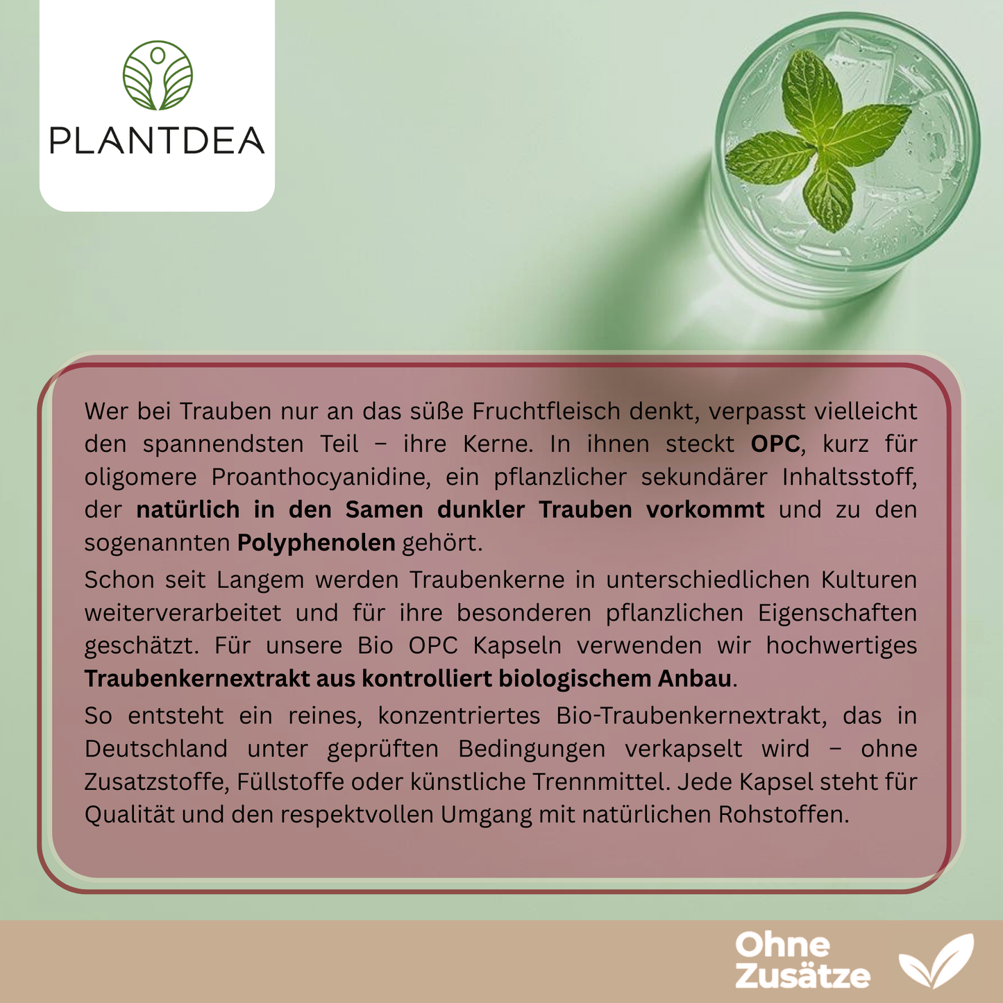 Bio OPC Kapseln